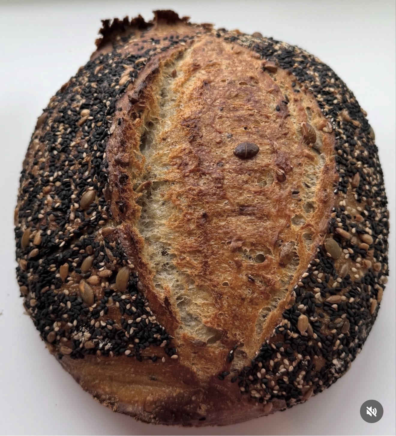 Lyanna’s Bakehouse seed-covered sourdough loaf with a golden crust